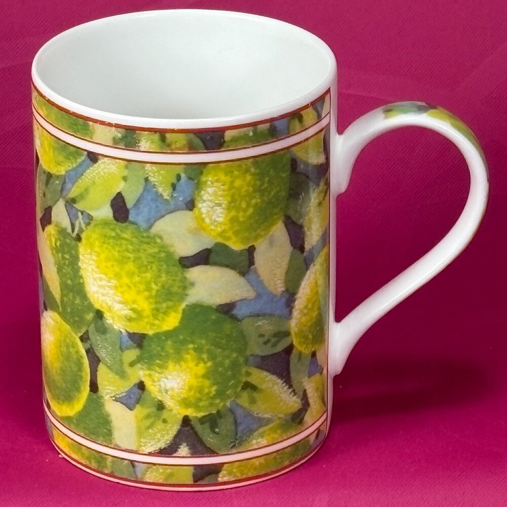 Queen's UK Citrus Fruit colorful bone china coffee mug